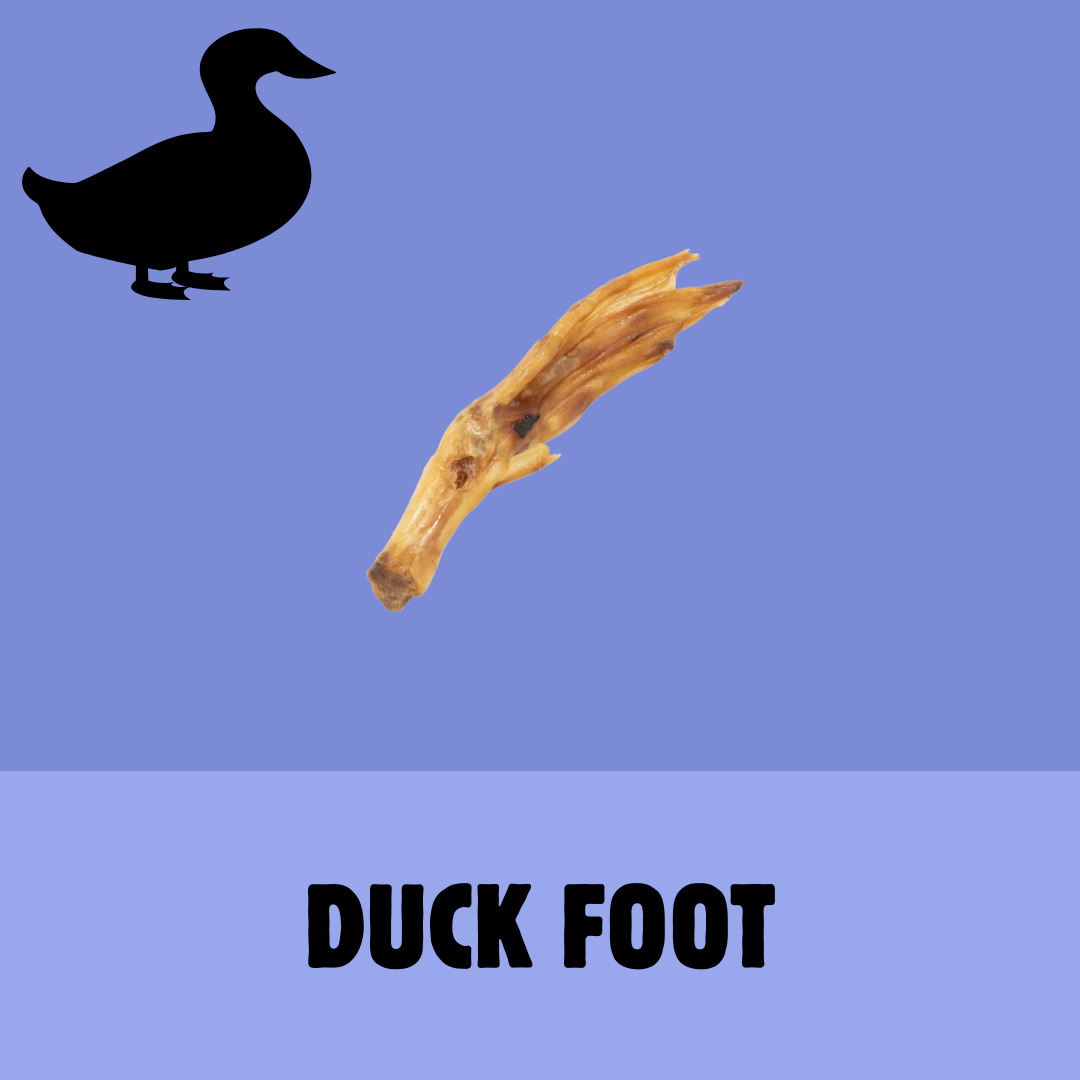 Build a Box | Custom Natural Dog Treat Bundle