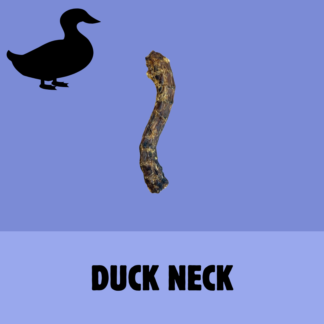 Build a Box | Custom Natural Dog Treat Bundle