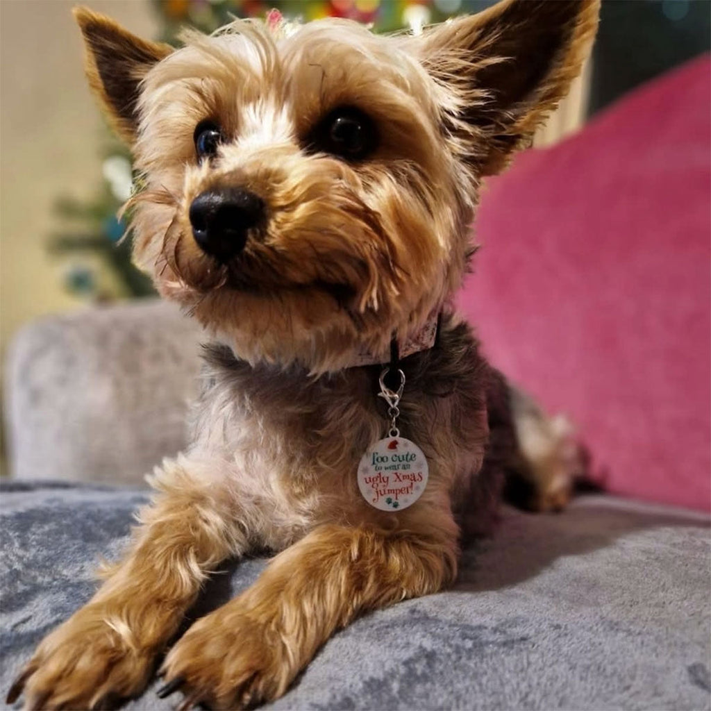 Christmas Keepsake Dog Tag