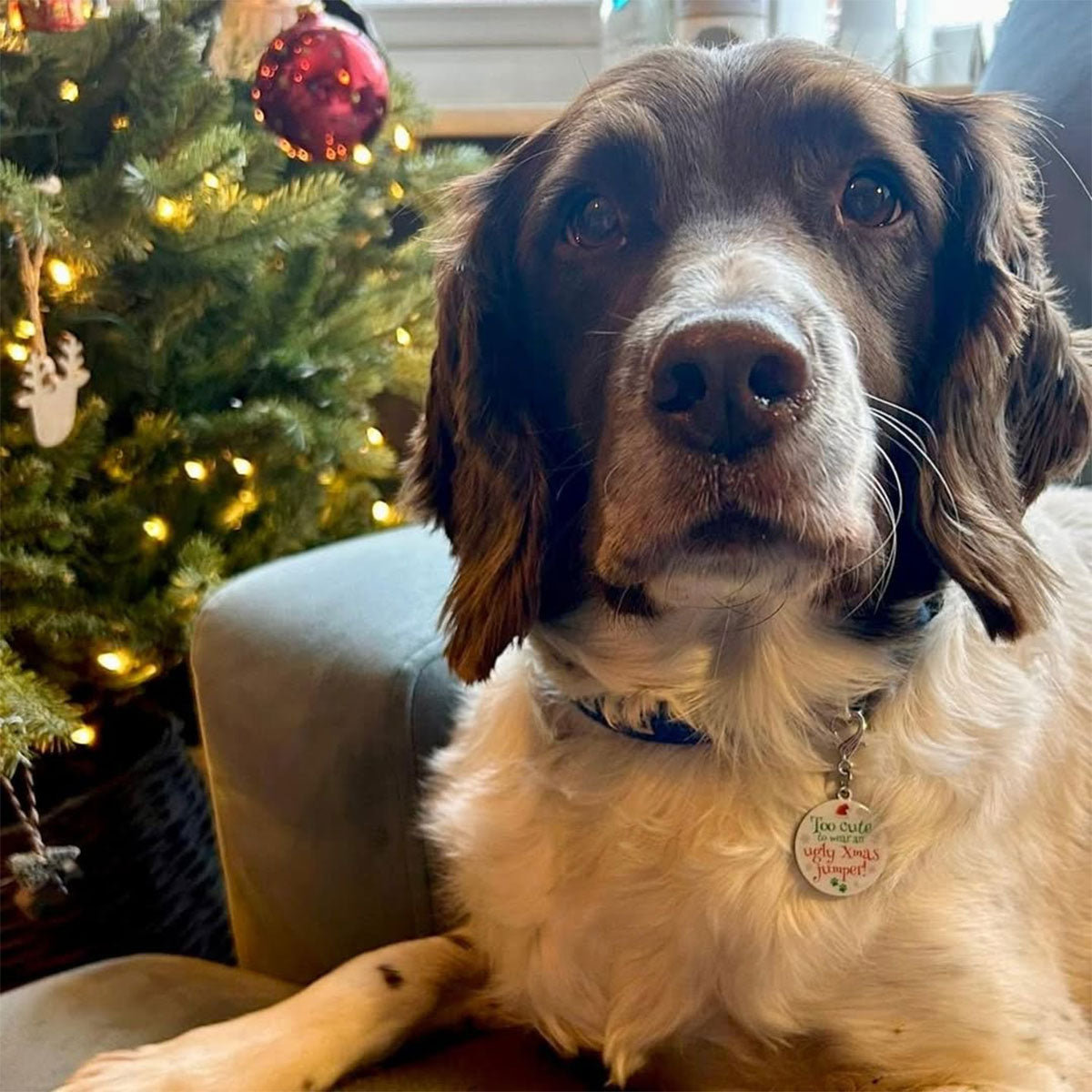 Christmas Keepsake Dog Tag