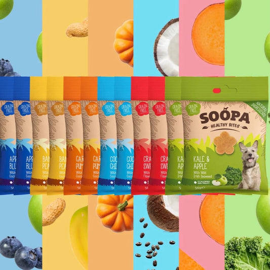 Soopa Healthy Bites - Treats for Dogs, Vegan, Natural Ingredients 50g