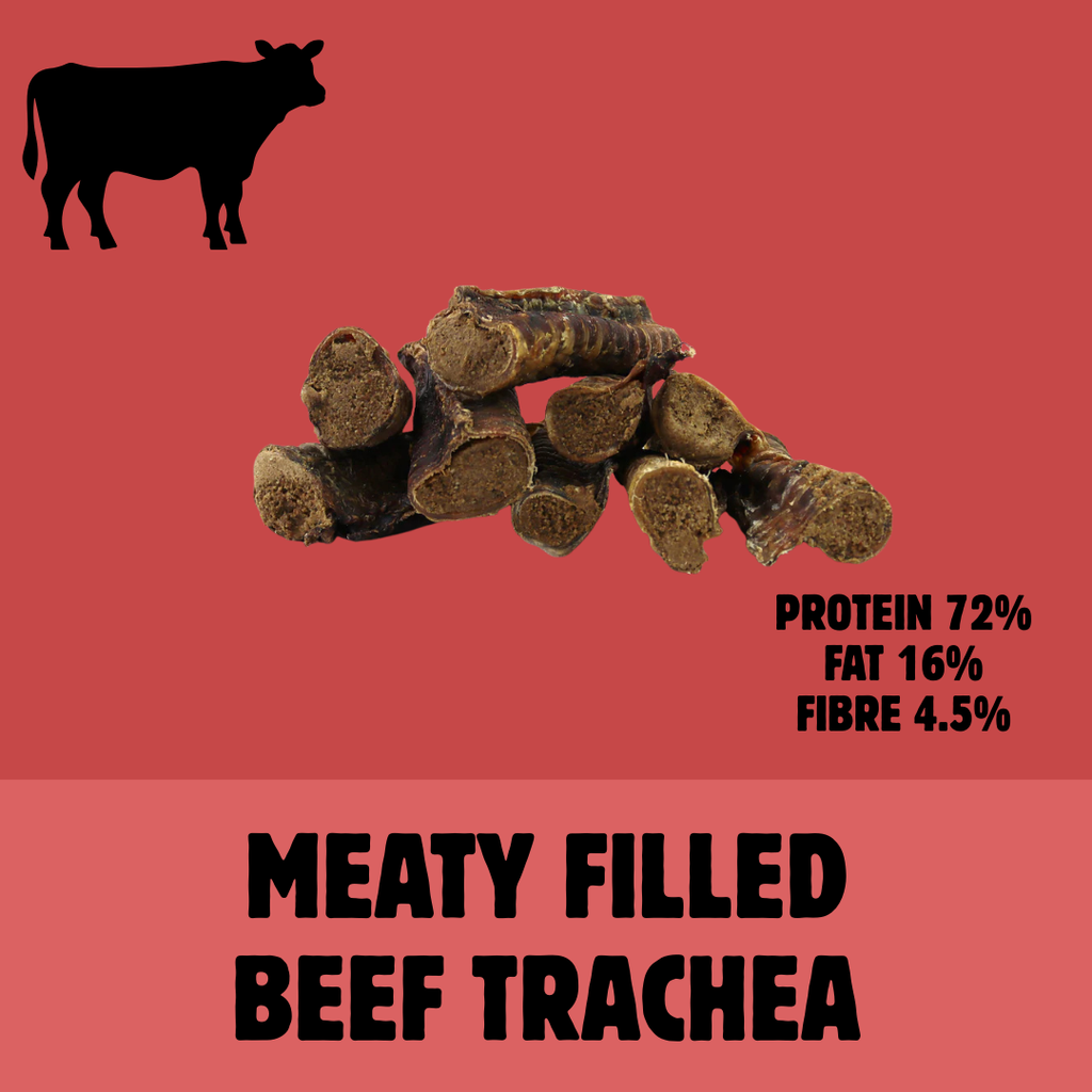 Build a Box | Custom Natural Dog Treat Bundle