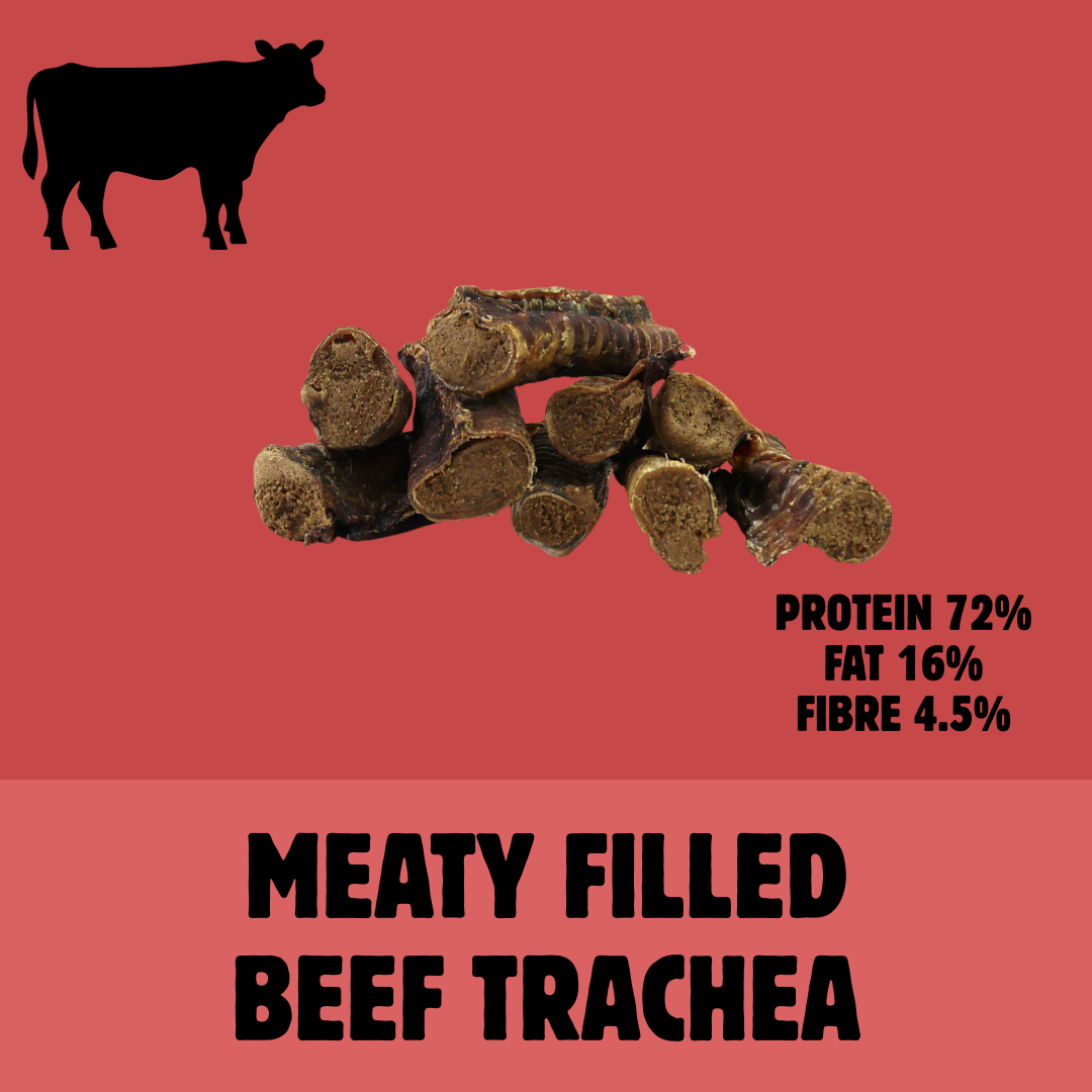 Build a Box | Custom Natural Dog Treat Bundle