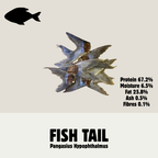 Build Your Own Fish Box | Natural Dog Treats