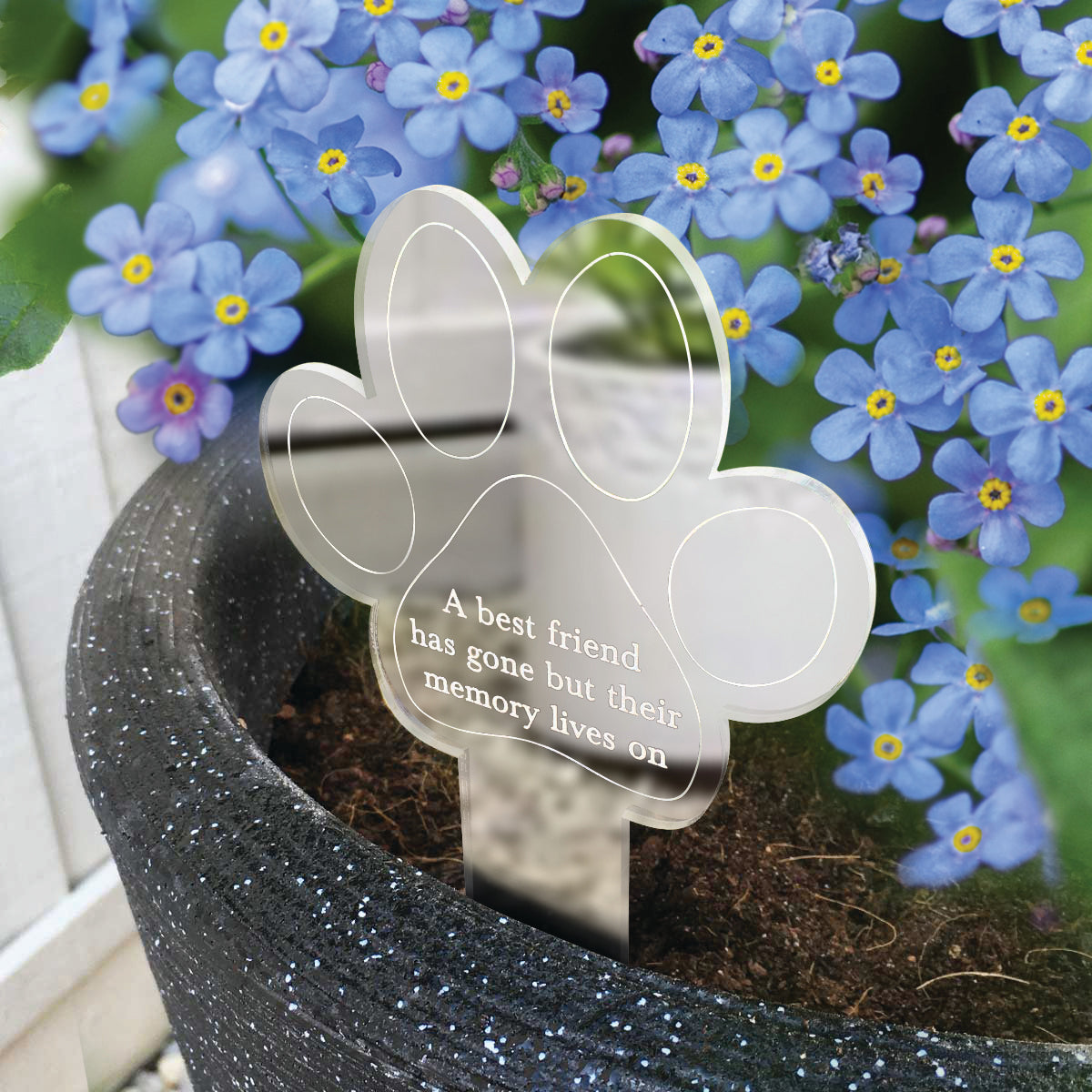 Oh So Precious Paw Print Memorial Garden Plant Marker & Forget Me Not Seeds