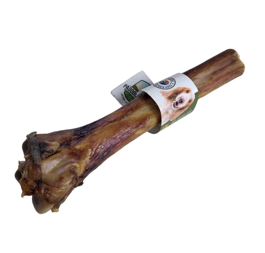 Ostrich Metatarsus Bone for Dogs