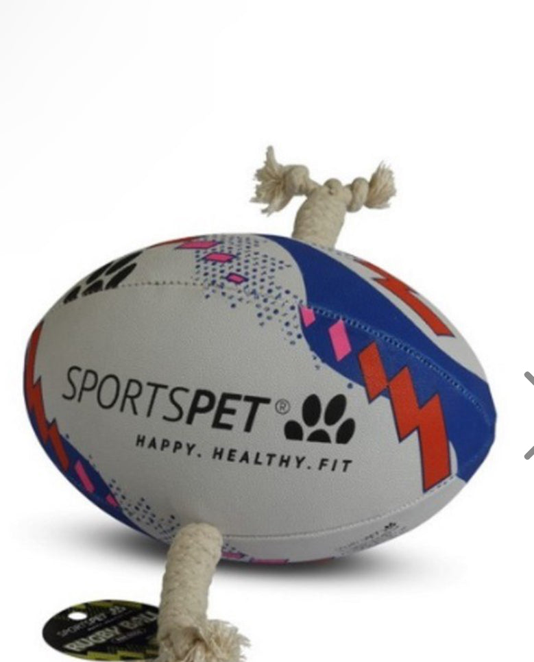 SPORTSPET Range of Dog Balls - Football, Volleyball and Rugby for Dogs