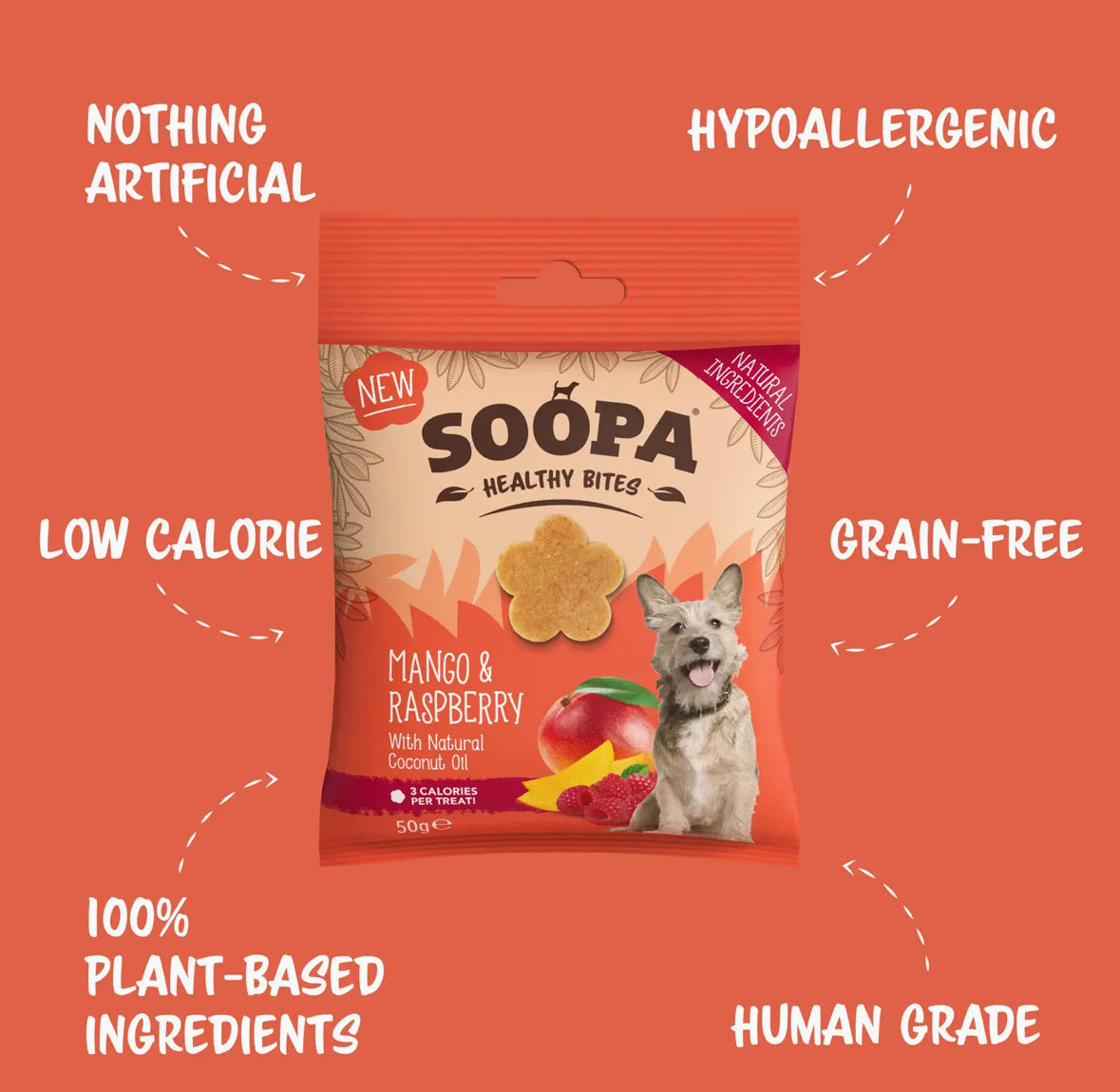 Soopa Healthy Bites & Dental Stick for Dogs, Vegan, Natural Ingredients