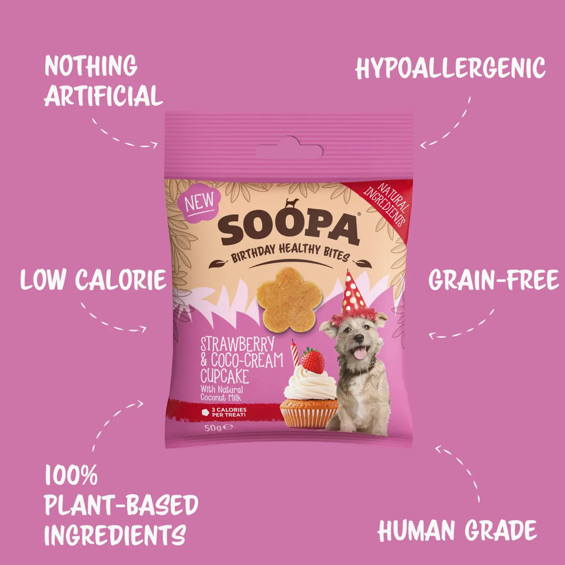 Soopa Healthy Bites & Dental Stick for Dogs, Vegan, Natural Ingredients