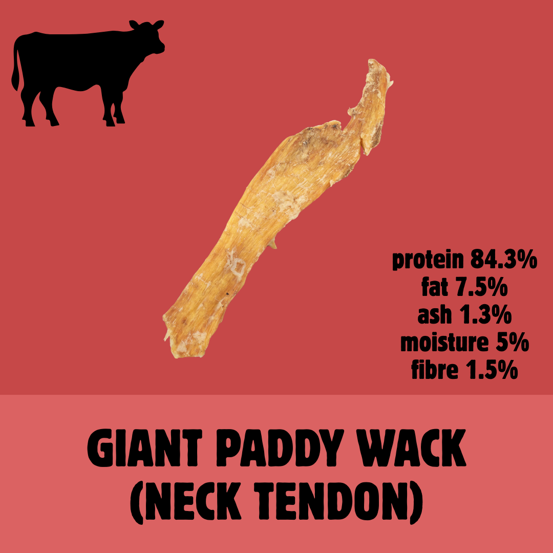 Build a Box | Custom Natural Dog Treat Bundle