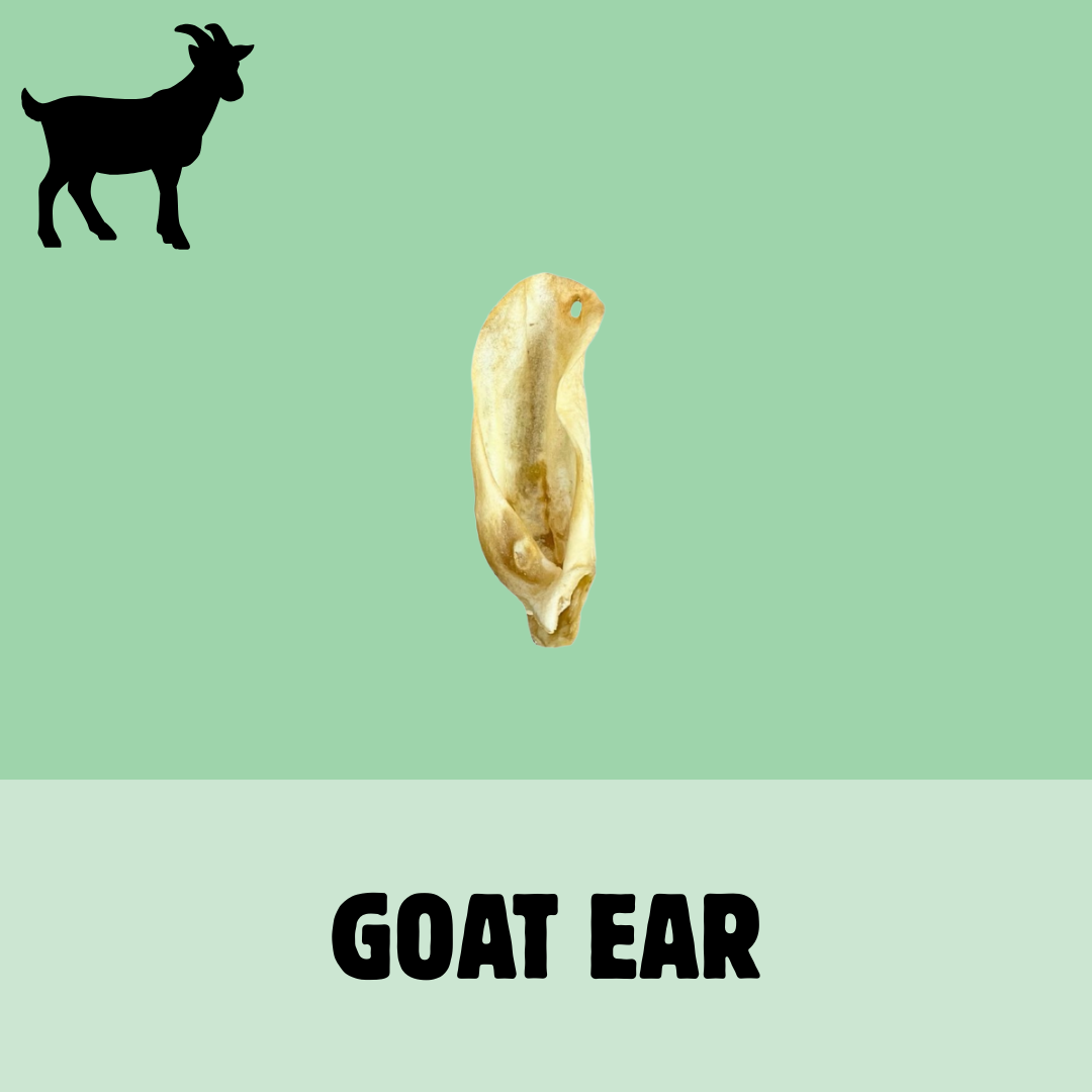 Build a Box | Custom Natural Dog Treat Bundle