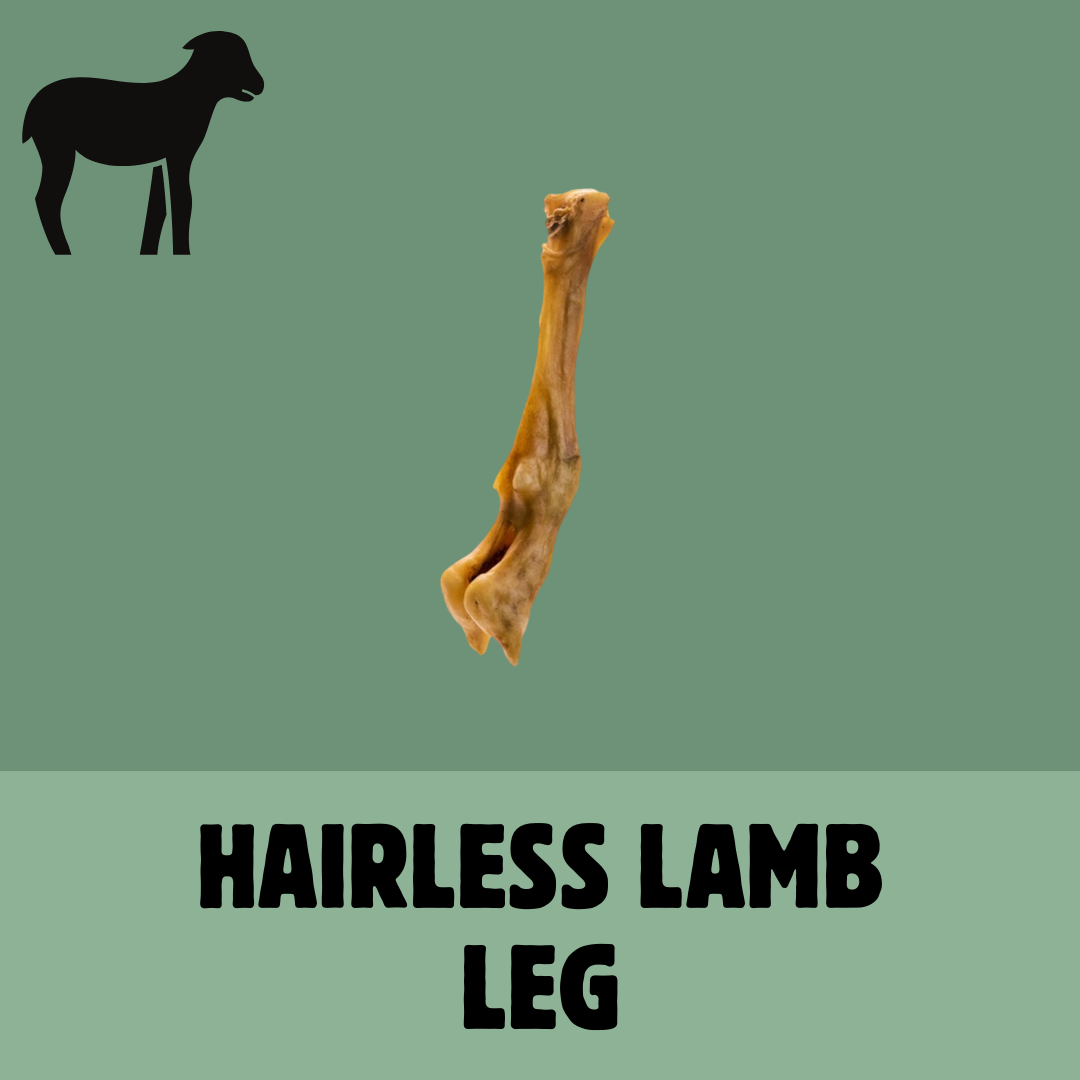 Build a Box | Custom Natural Dog Treat Bundle