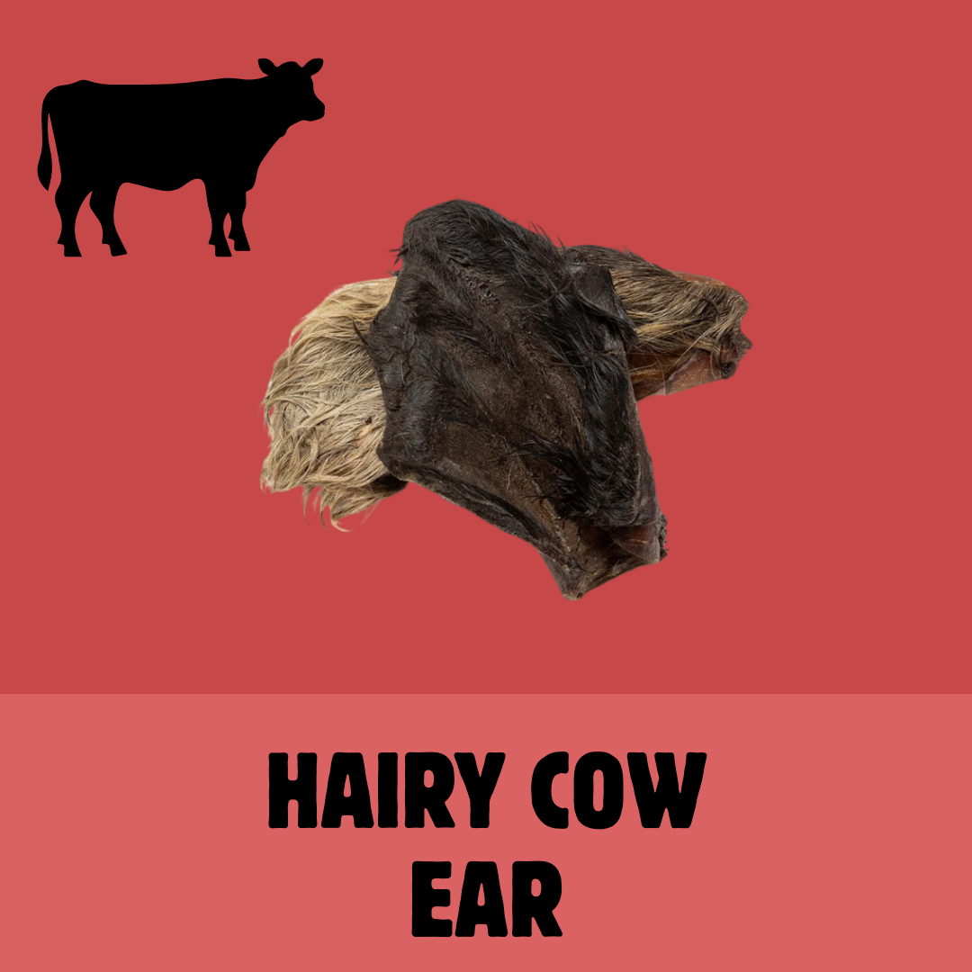 Build a Box | Custom Natural Dog Treat Bundle