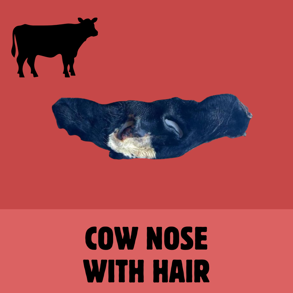 Build a Box | Custom Natural Dog Treat Bundle