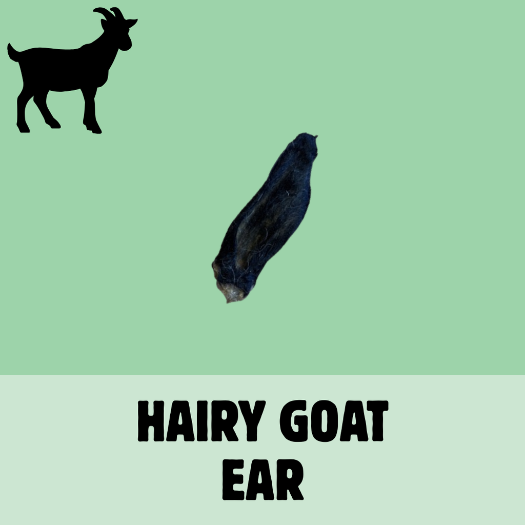 Build a Box | Custom Natural Dog Treat Bundle