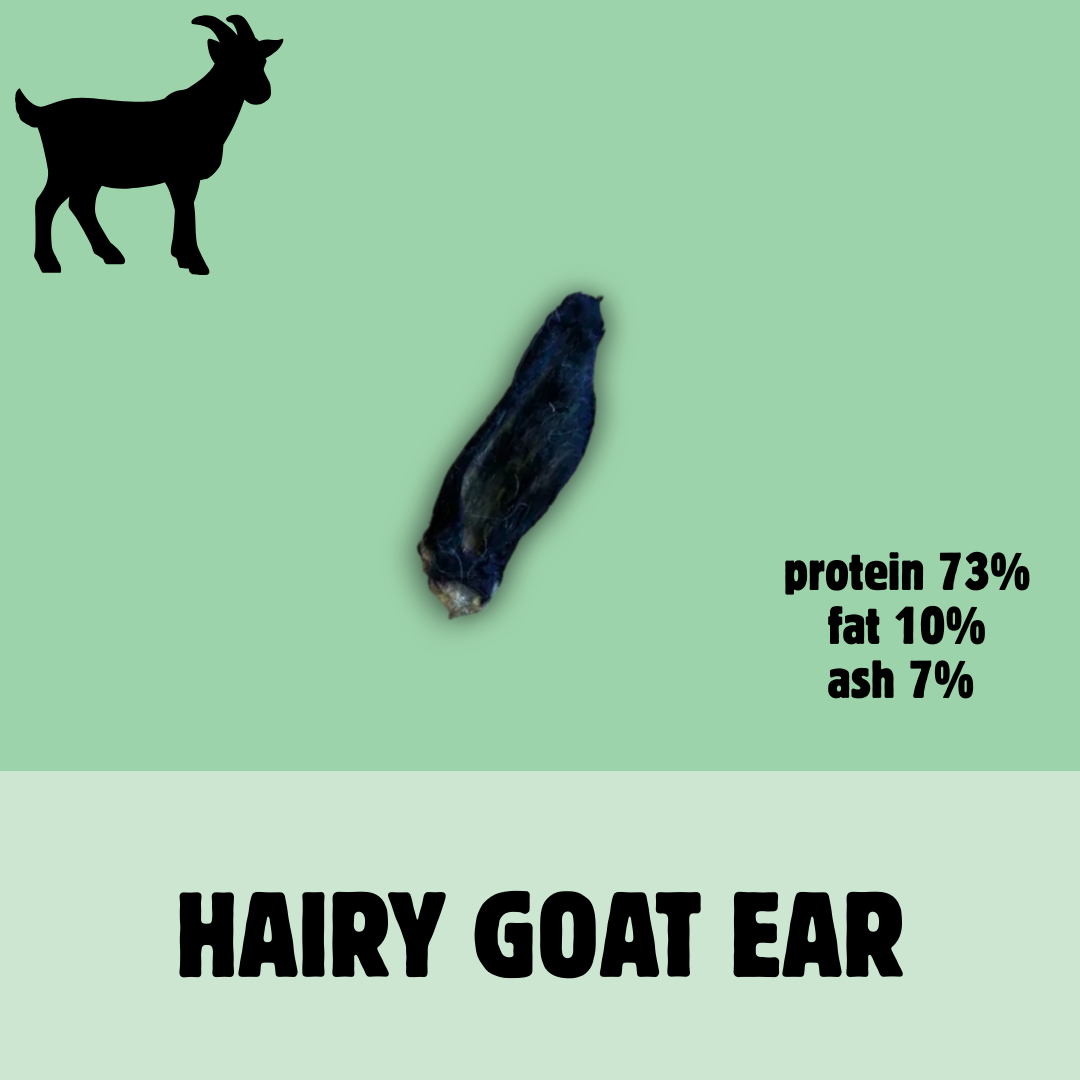 Build a Box | Custom Natural Dog Treat Bundle