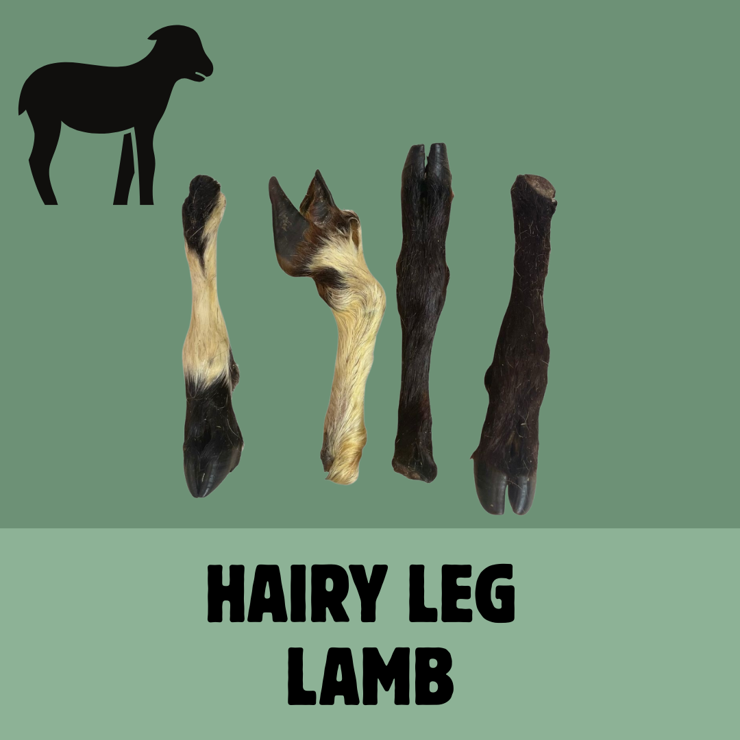 Build a Box | Custom Natural Dog Treat Bundle