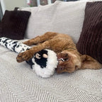 ANCOL Super Long 1 Meter Cuddle Cow - Dog Toy