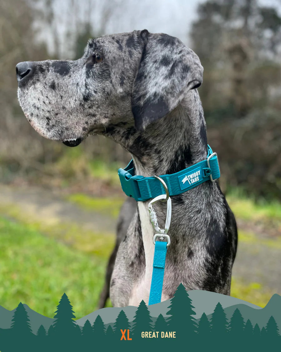 Twiggy Tags Tidal Waterproof Collar - Azure
