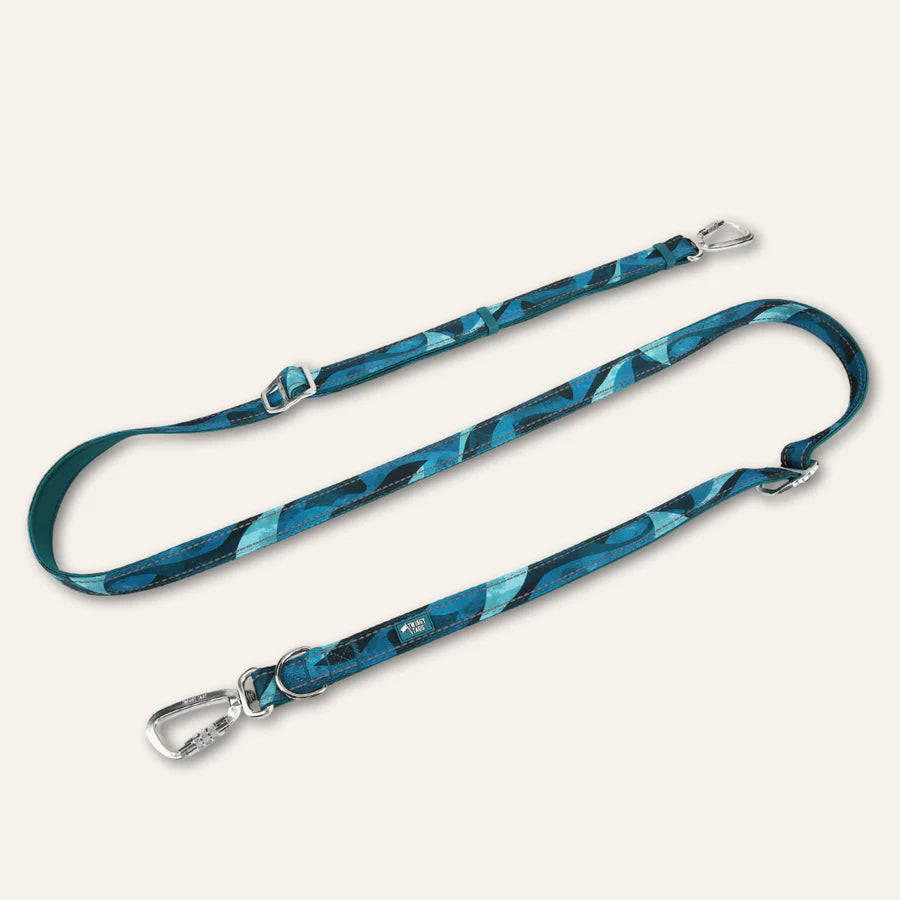 Twiggy Tags Multi-Way Leads