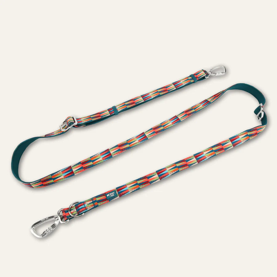 Twiggy Tags Multi-Way Leads