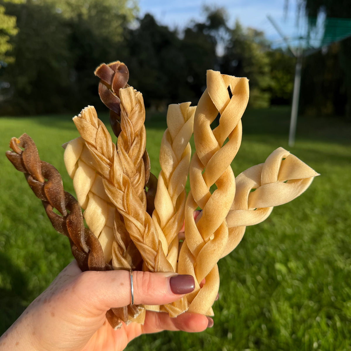 Braid Bundle - Natural Dog Treats - 8 Piece Bundle