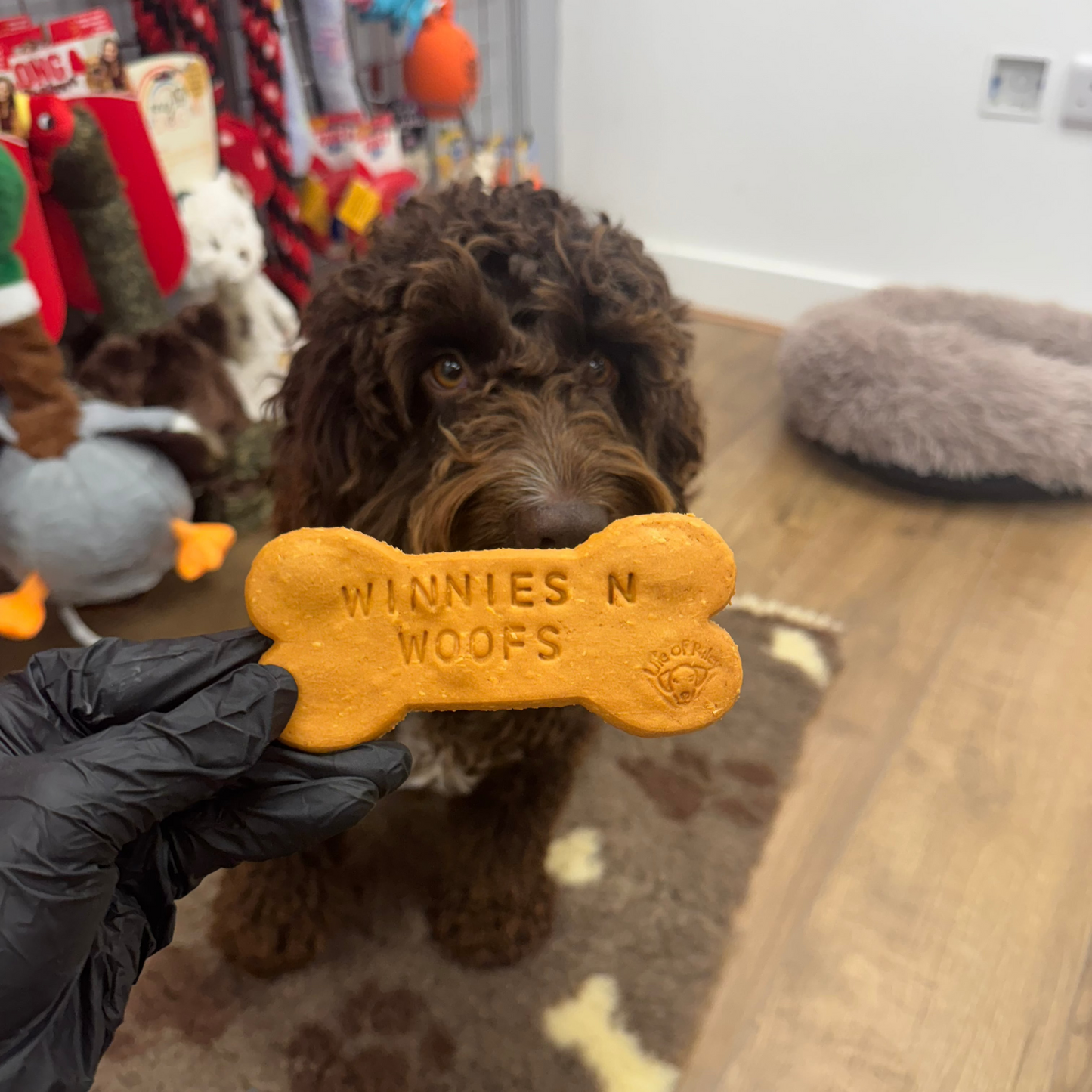 Life of Riley Pet Bakery Pawtisserie Dog Treats