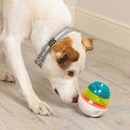 iQuties Actve Training Dog Stimulation Toys