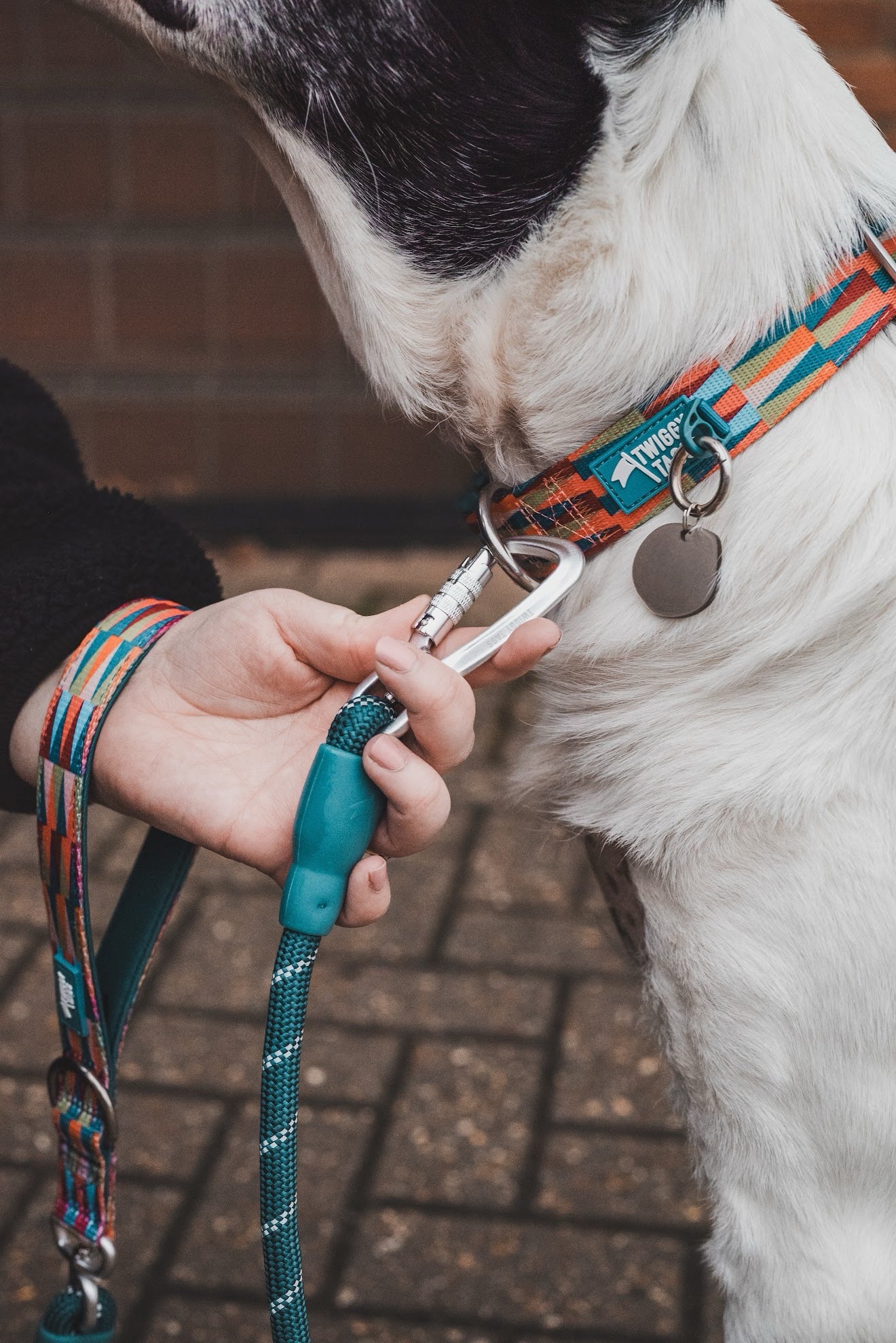 Twiggy Tags Horizon Rope Lead - Elixir