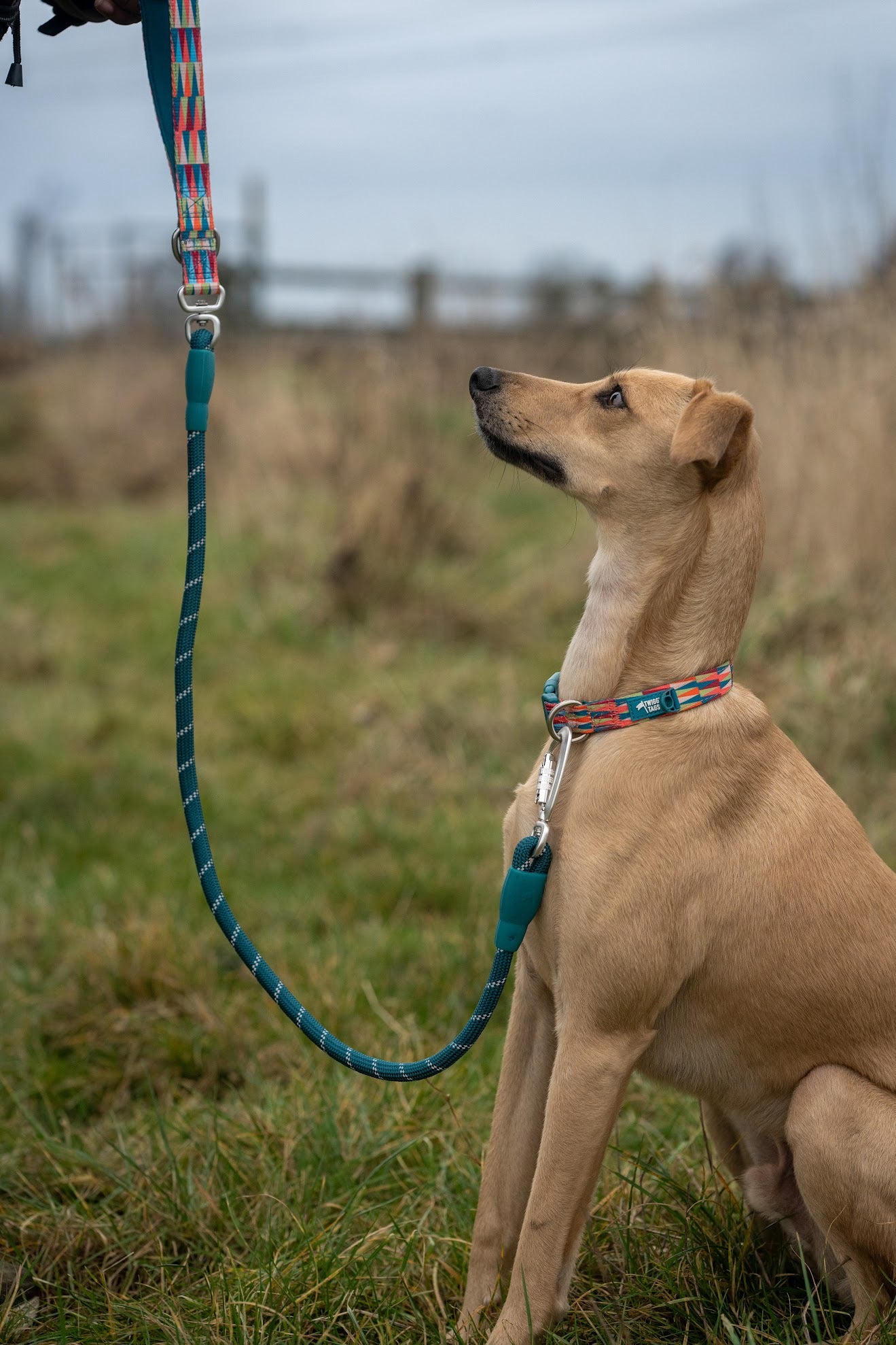 Twiggy Tags Horizon Rope Lead - Elixir