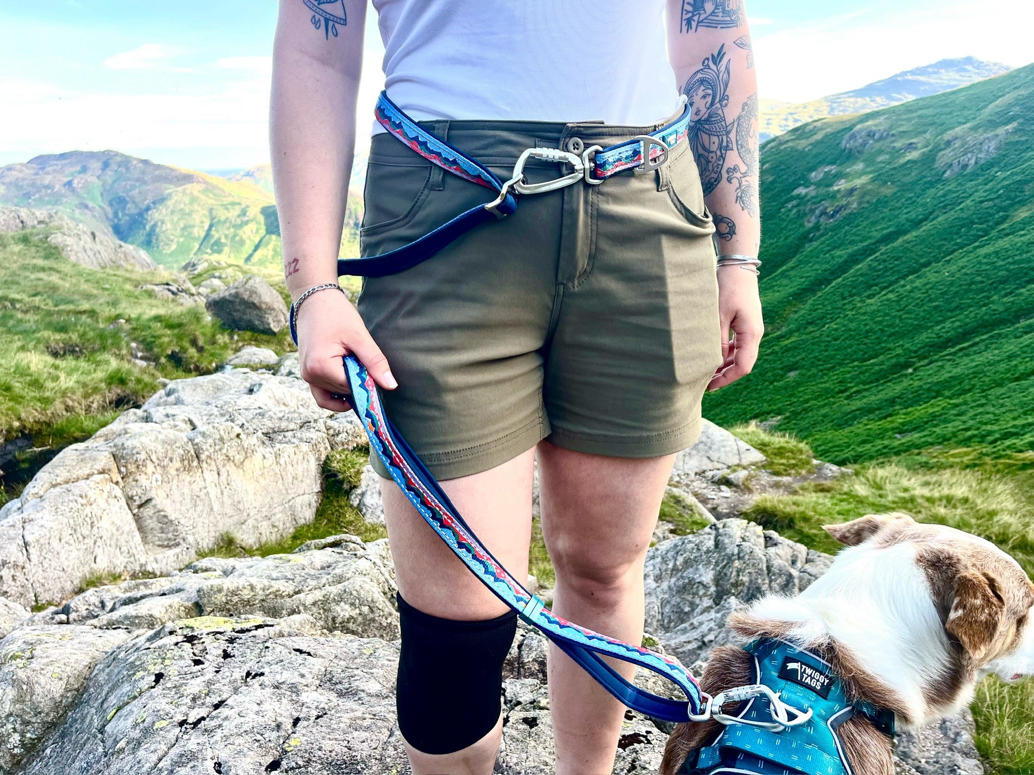 Twiggy Tags Multi-Way Leads