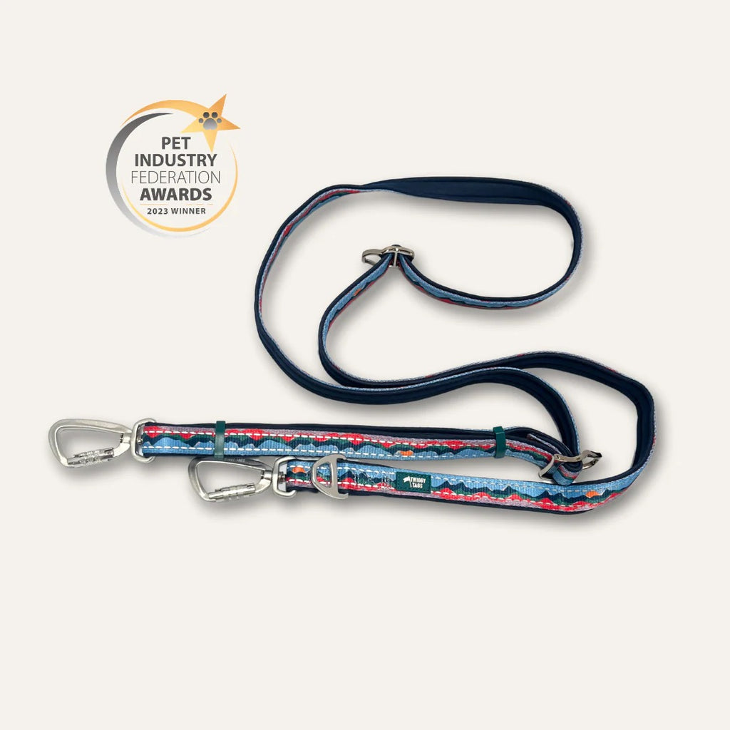 Twiggy Tags Multi-Way Leads