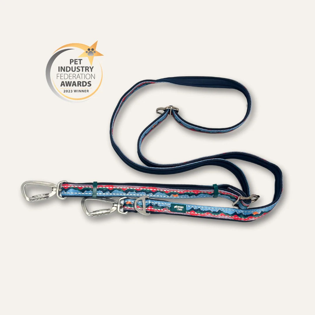 Twiggy Tags Multi-Way Leads