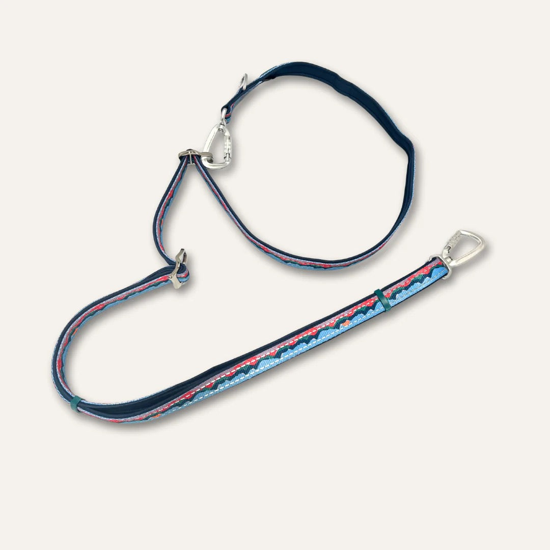 Twiggy Tags Multi-Way Leads