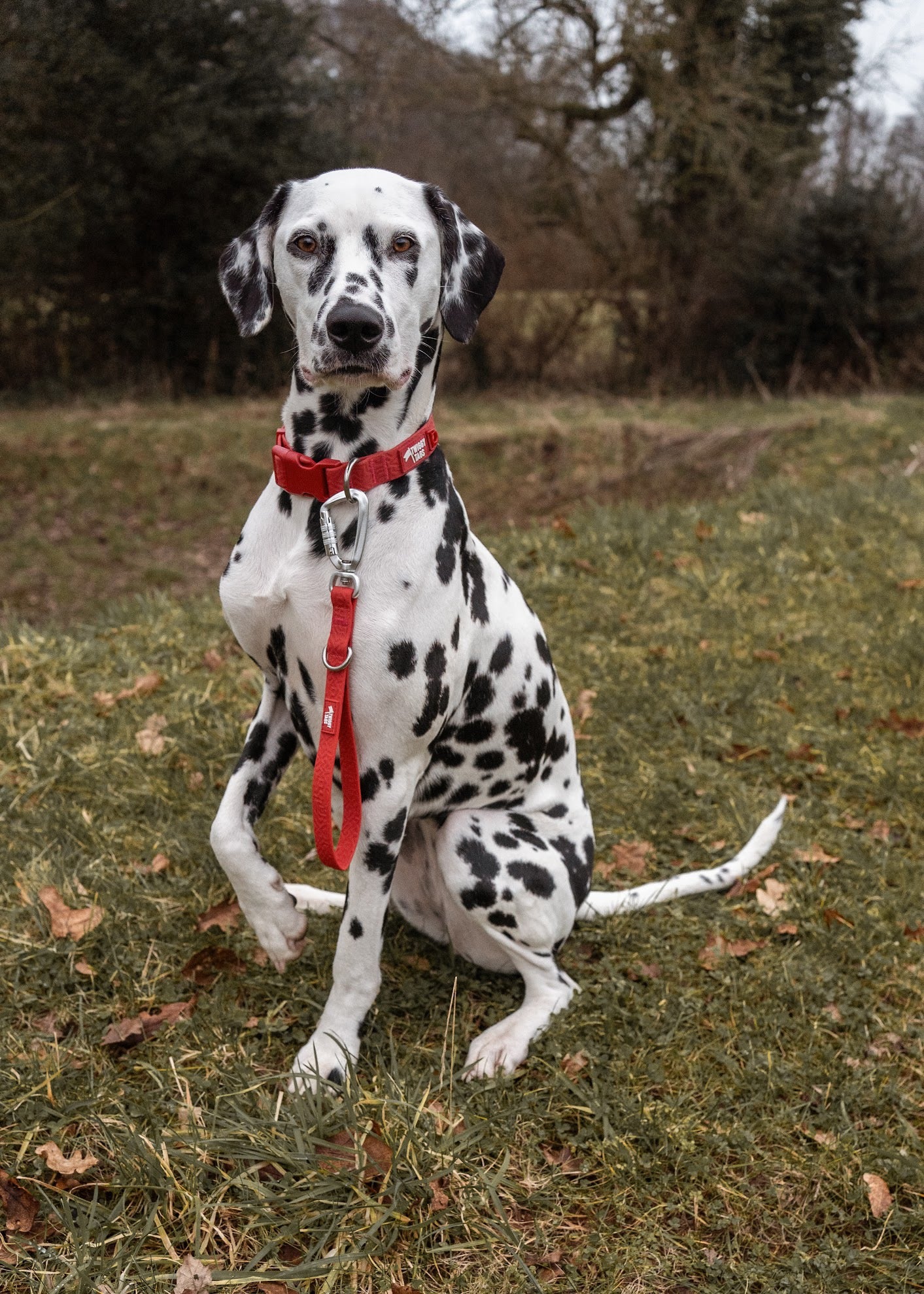 Twiggy Tags Tidal Waterproof Leads - Fresia