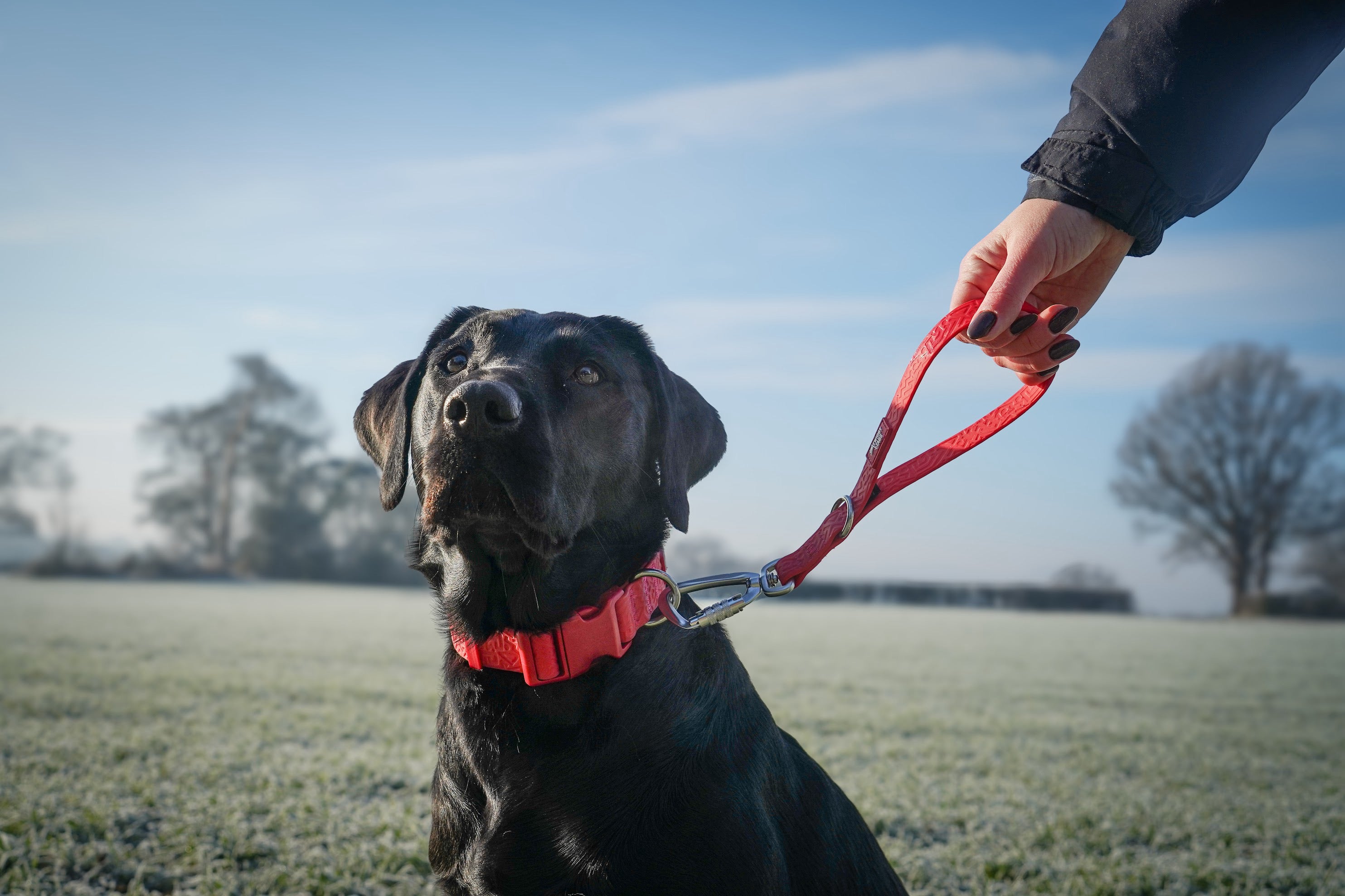 Twiggy Tags Tidal Waterproof Leads - Fresia