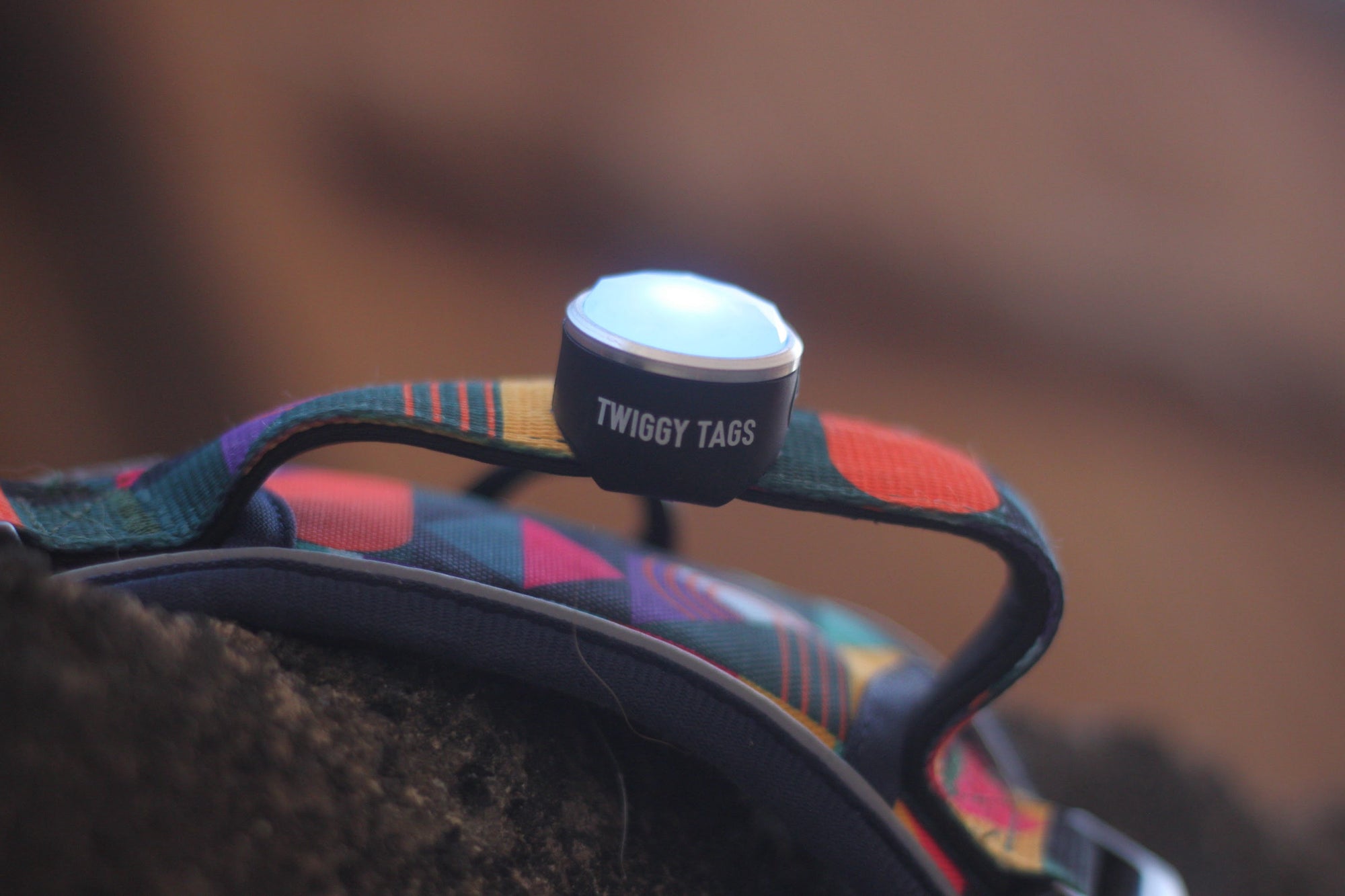 Twiggy Tags TrekBright® Dog Safety Light