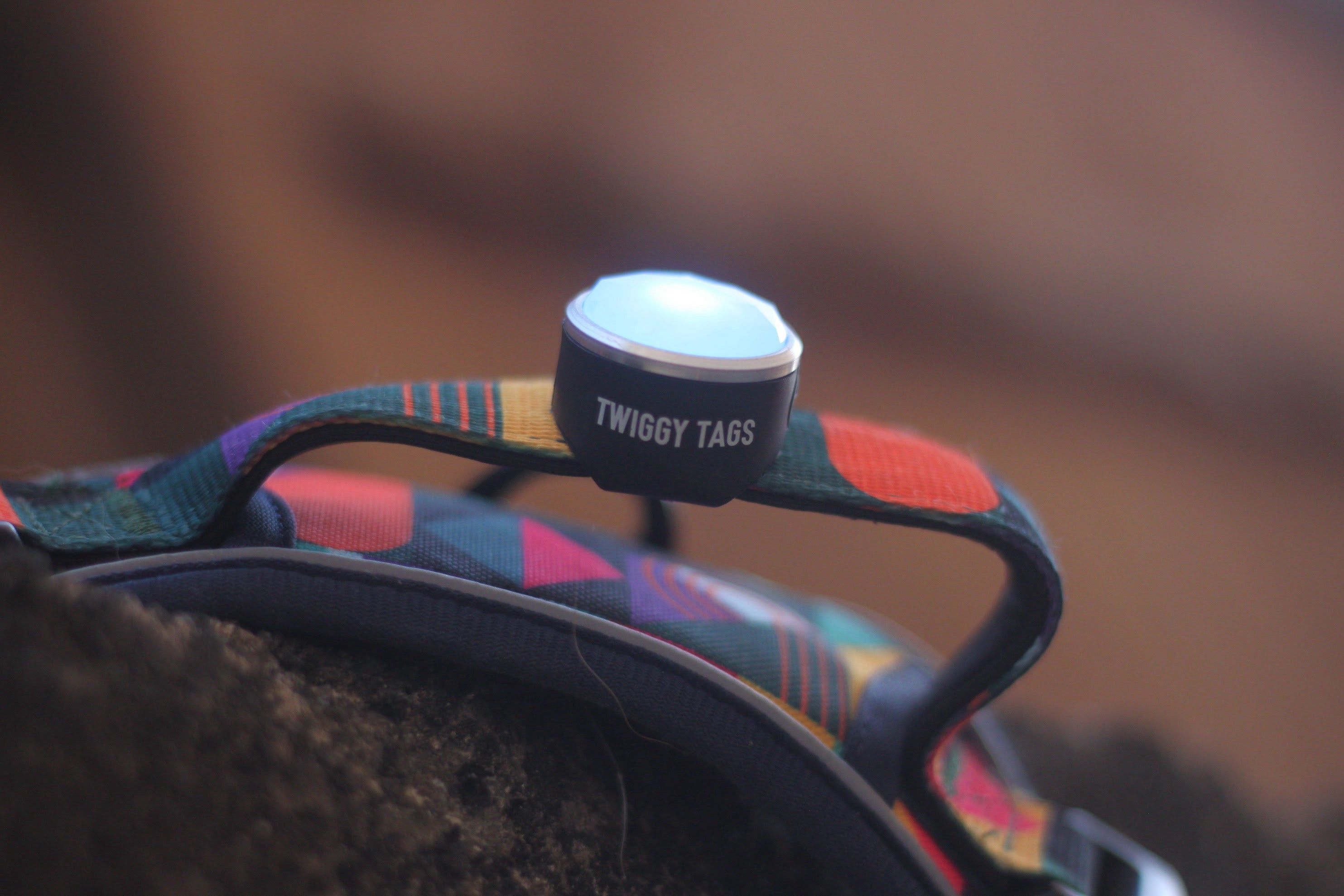Twiggy Tags TrekBright® Dog Safety Light