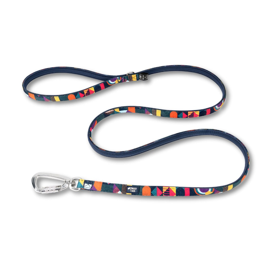 Twiggy Tags Adventure Small Lead 2.0 - Aurora