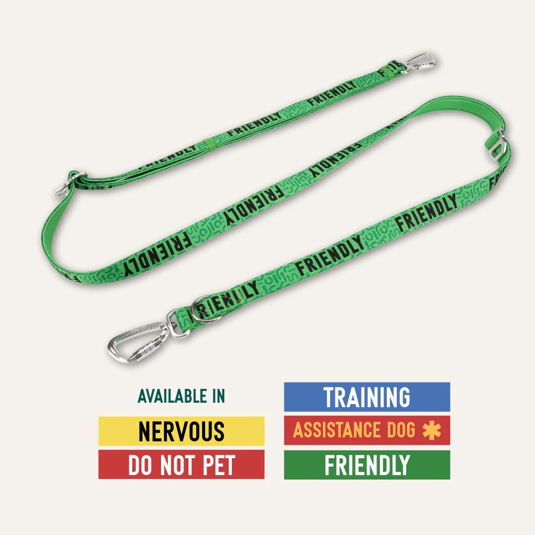 Twiggy Tags Awareness Multi-Way Leads