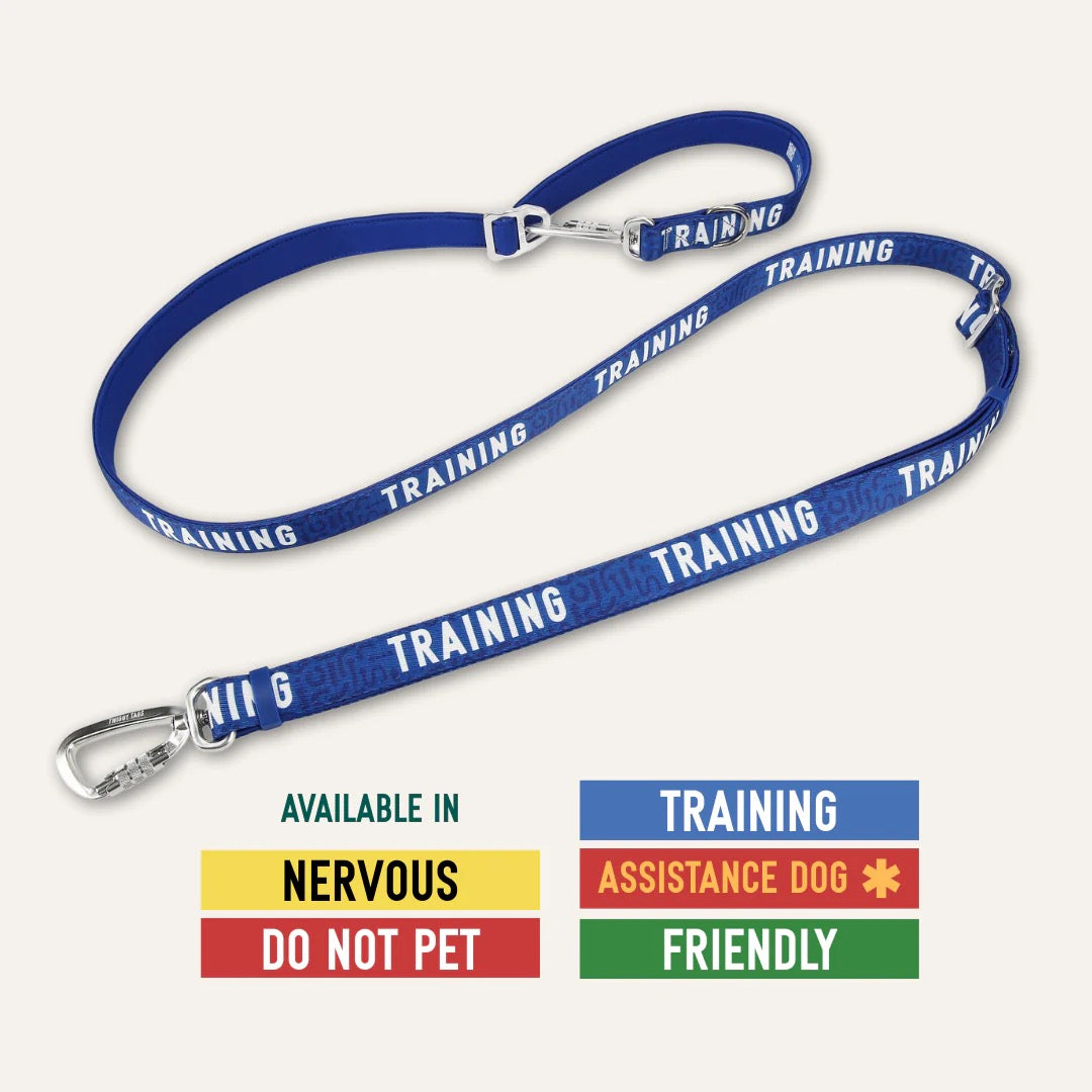 Twiggy Tags Awareness Multi-Way Leads