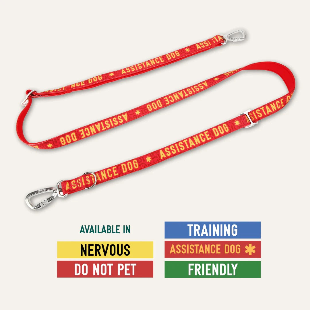Twiggy Tags Awareness Multi-Way Leads