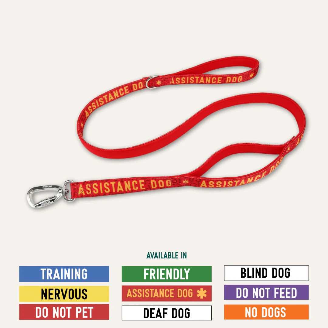 Twiggy Tags Awareness Close Control Leads