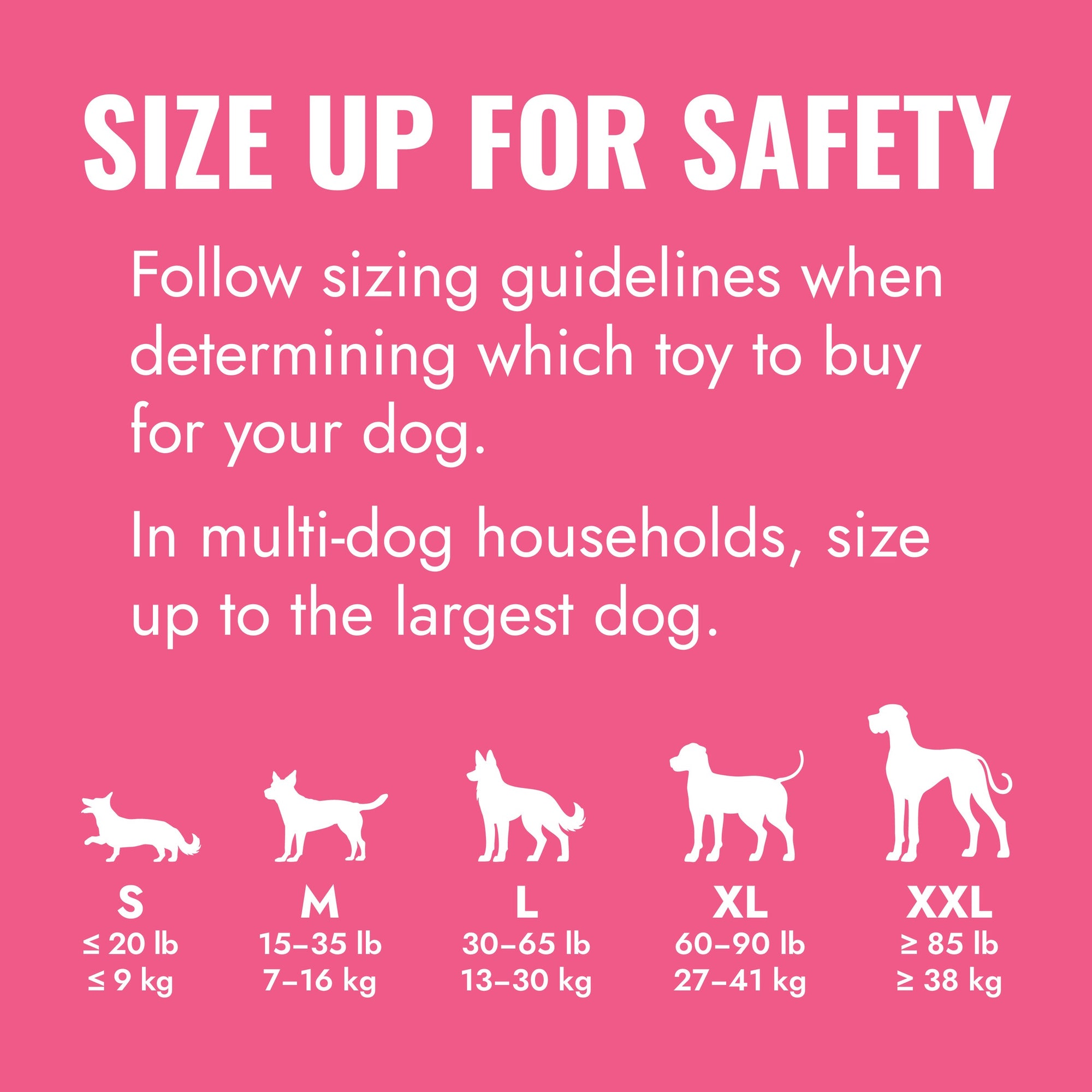 KONG Puppy