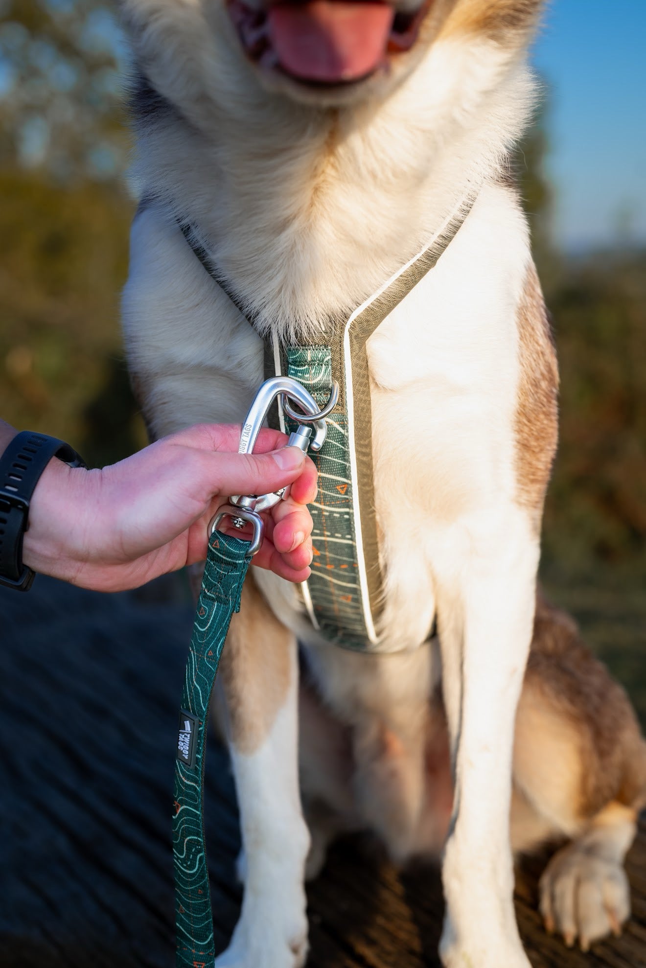 Twiggy Tags Apex® Lead - Nomad