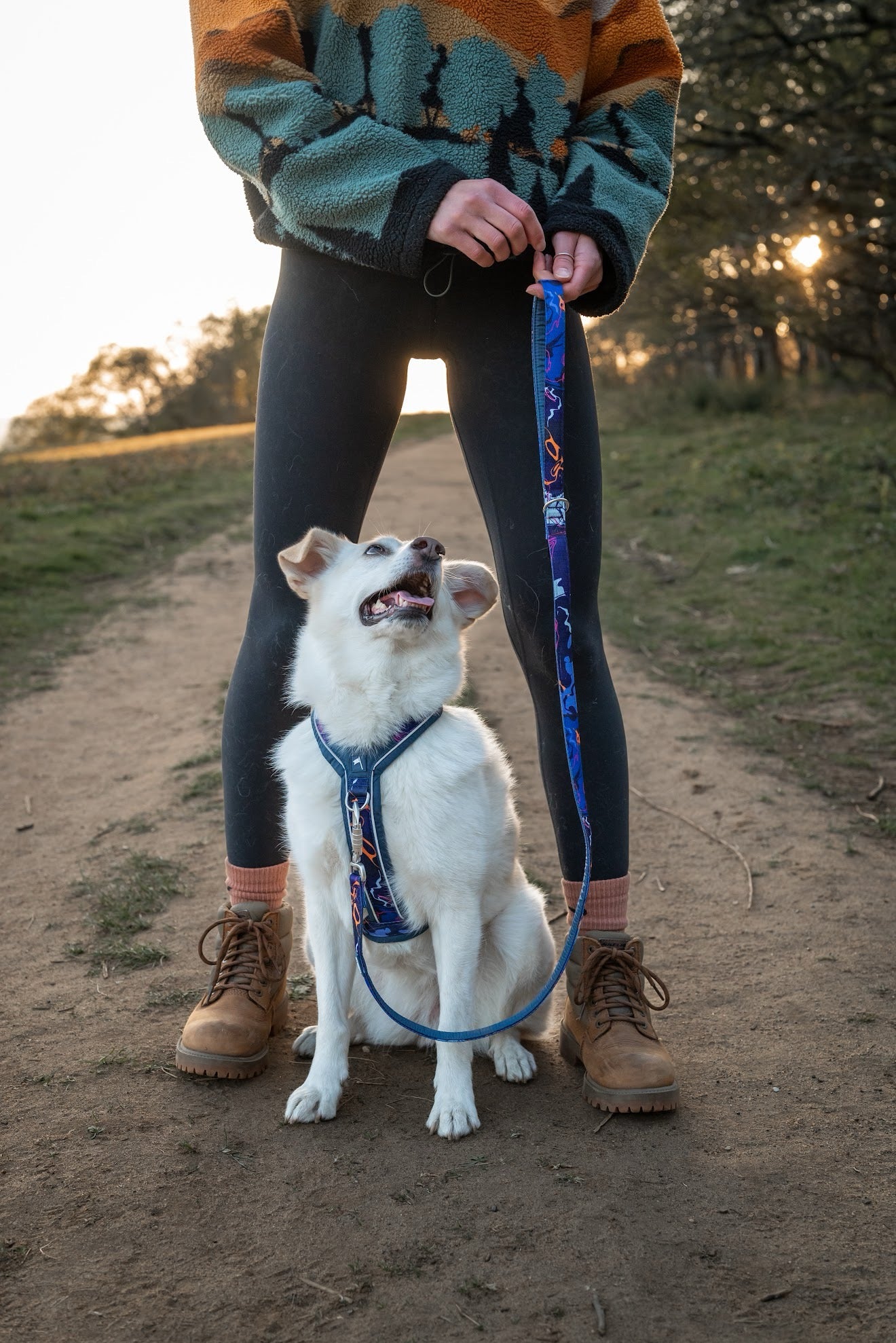 Twiggy Tags Apex® Lead - Nebula