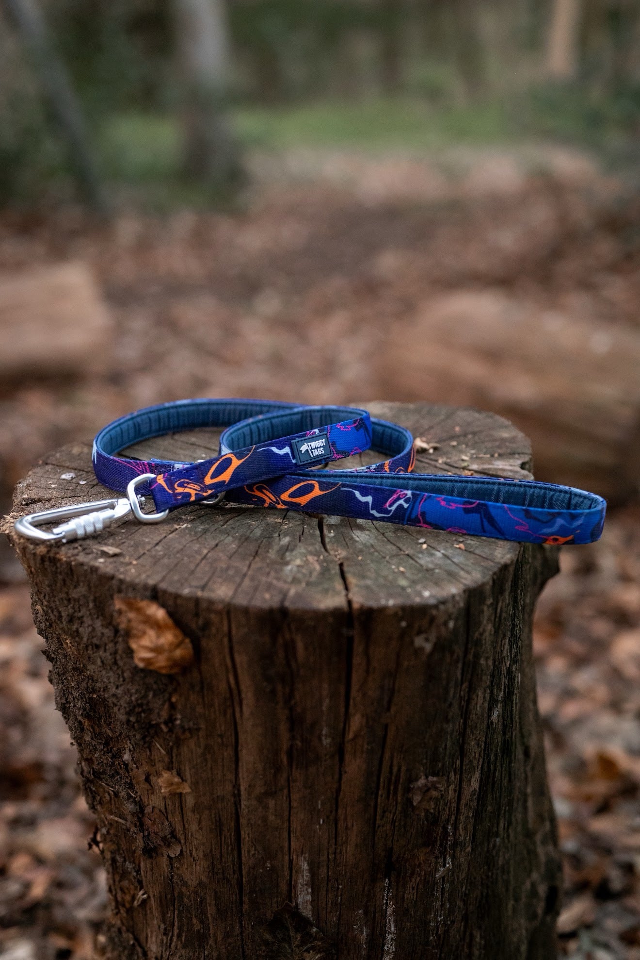 Twiggy Tags Apex® Lead - Nebula