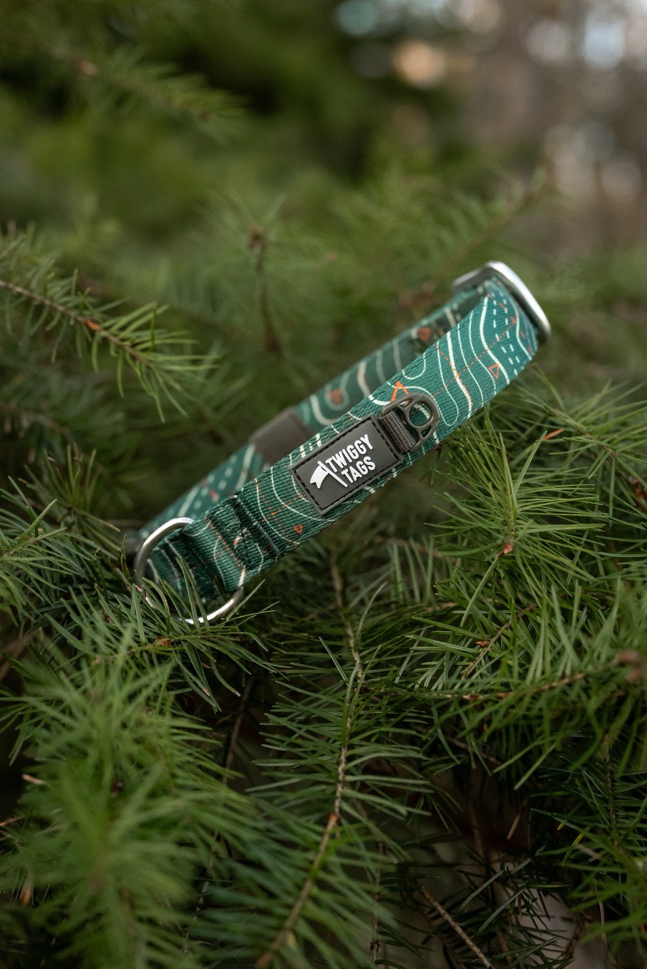 Twiggy Tags Apex® Collar - Nomad