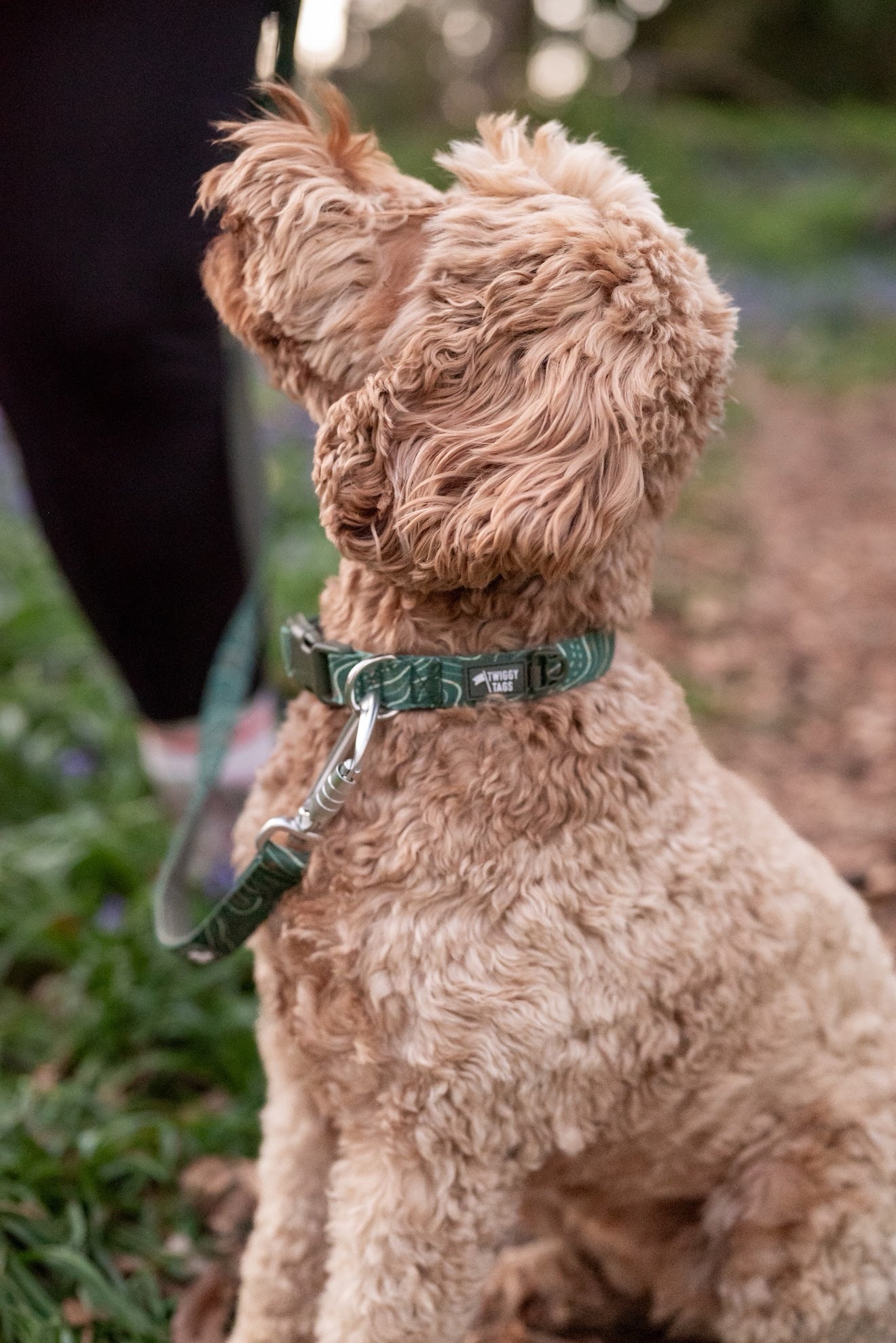 Twiggy Tags Apex® Collar - Nomad