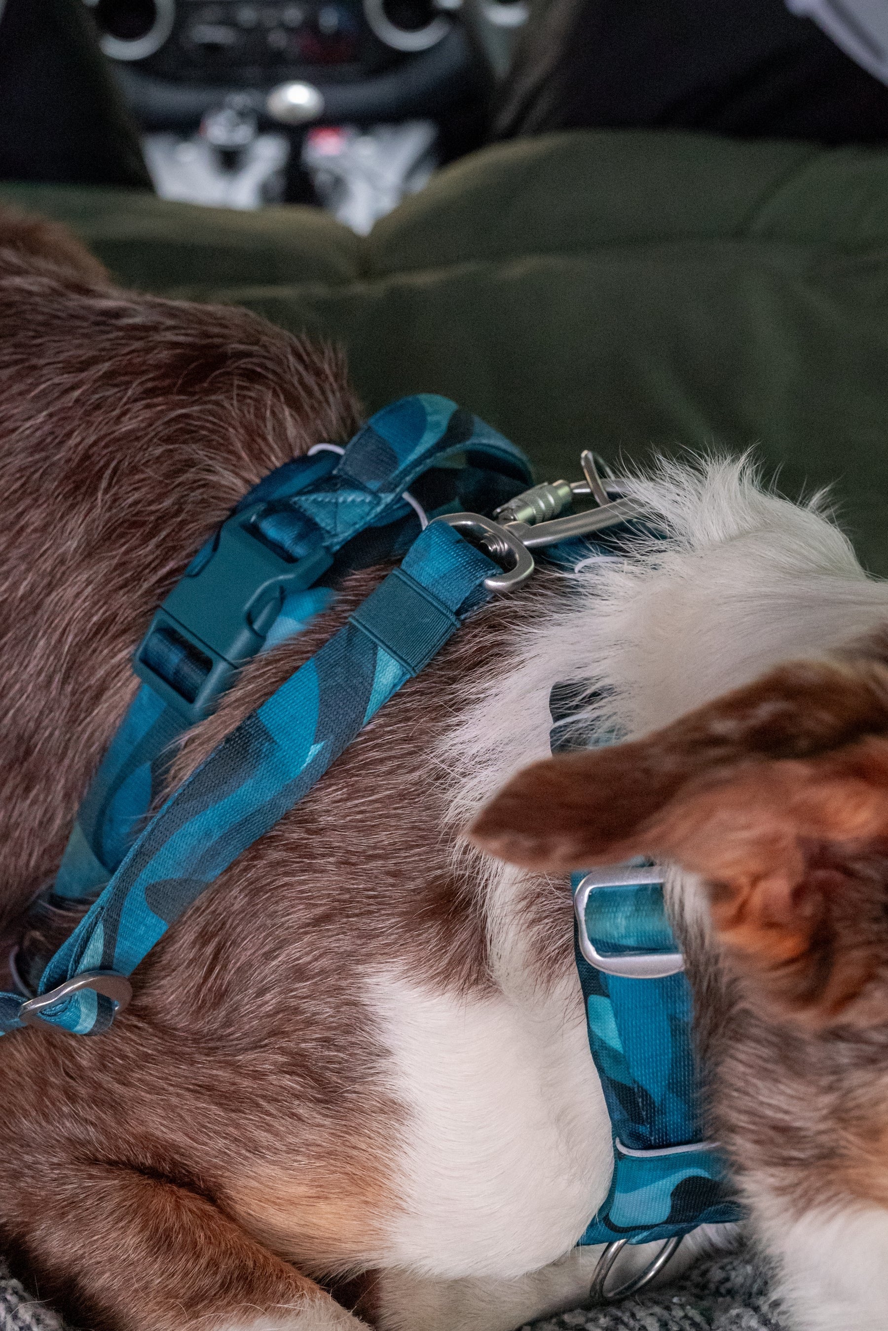 Twiggy Tags Adventure Dog Safety Seatbelt 2.0 - Lagoon